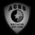 aces tampa private investigations 1 50x50